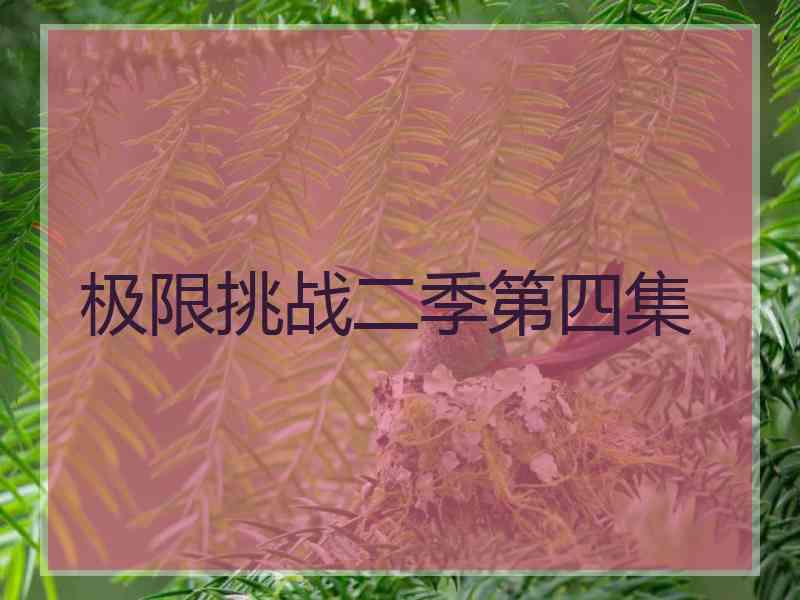 极限挑战二季第四集