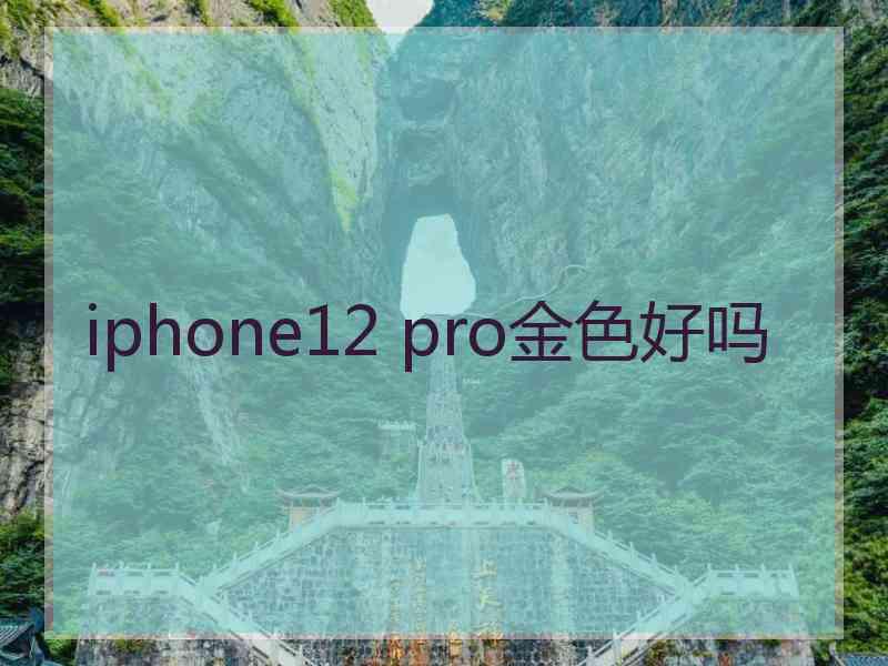 iphone12 pro金色好吗