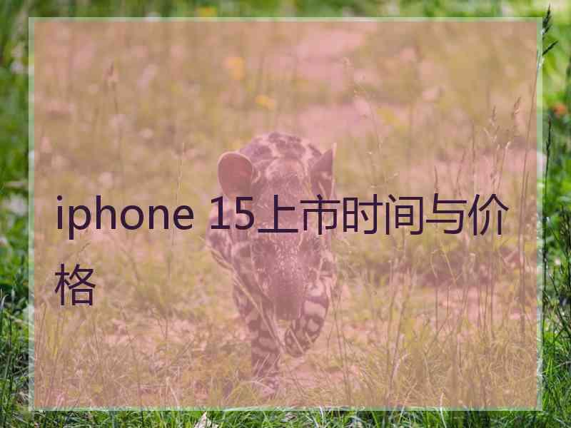 iphone 15上市时间与价格