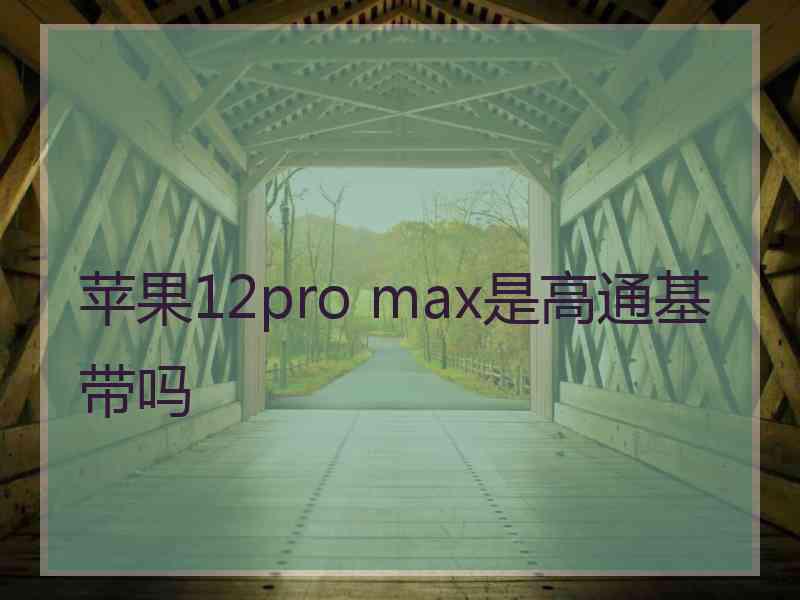 苹果12pro max是高通基带吗