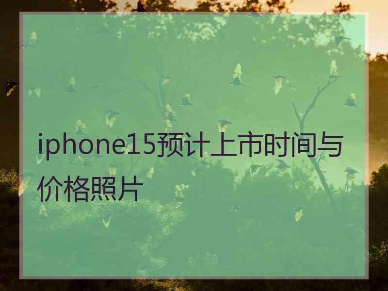 iphone15预计上市时间与价格照片