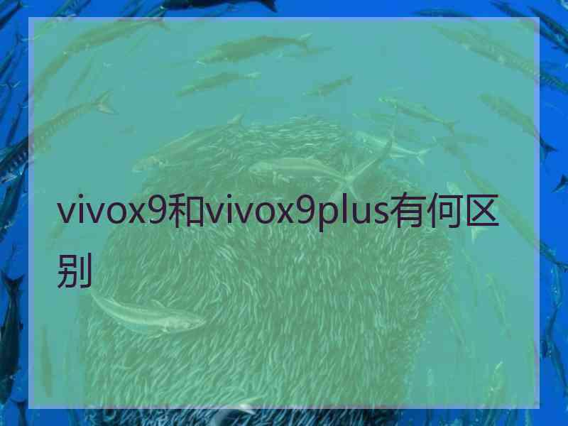 vivox9和vivox9plus有何区别