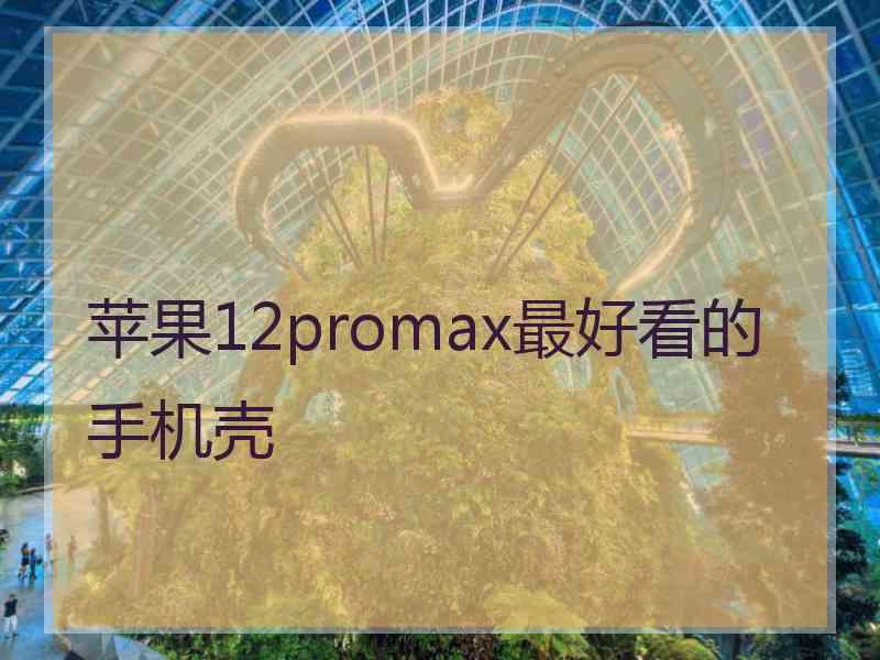 苹果12promax最好看的手机壳