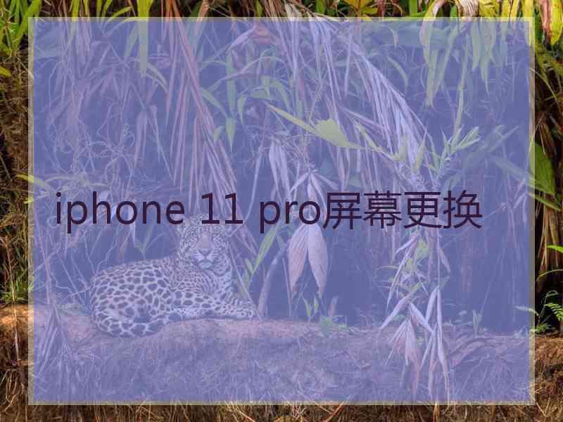 iphone 11 pro屏幕更换