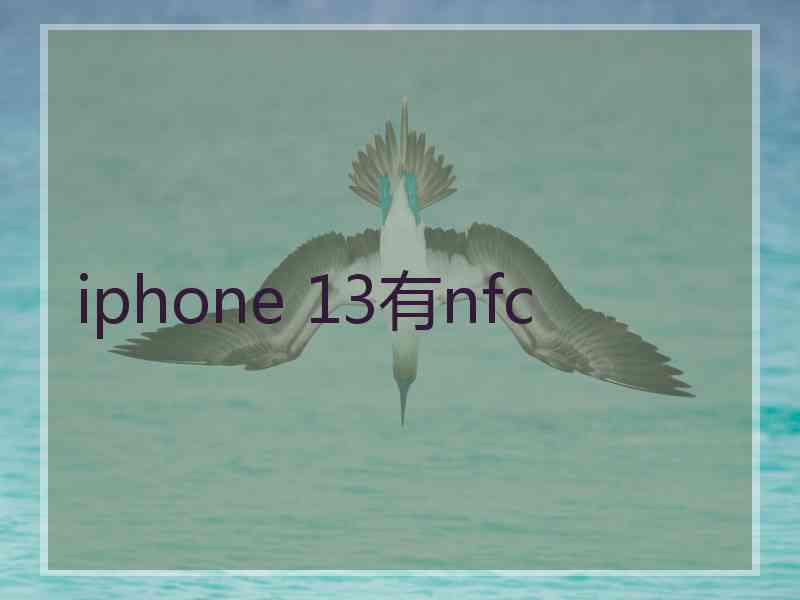 iphone 13有nfc