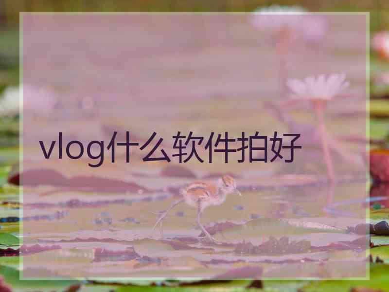 vlog什么软件拍好