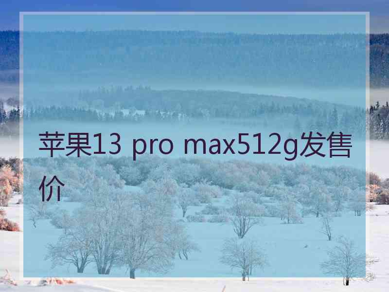 苹果13 pro max512g发售价