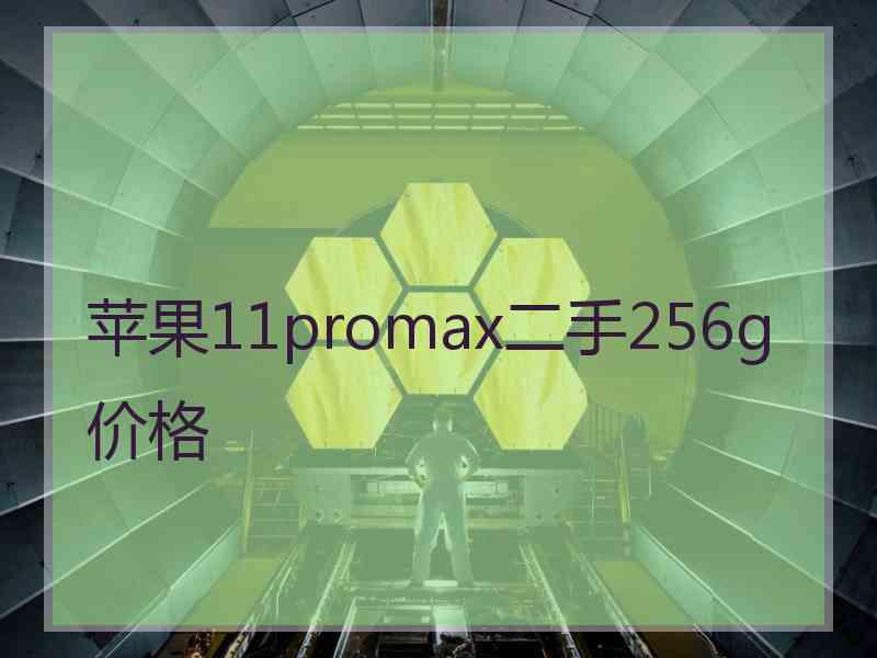 苹果11promax二手256g价格