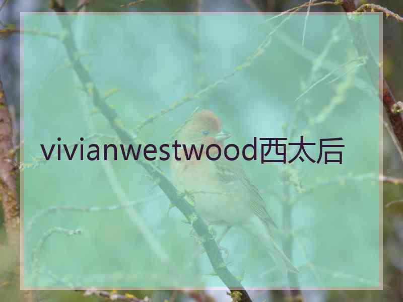 vivianwestwood西太后