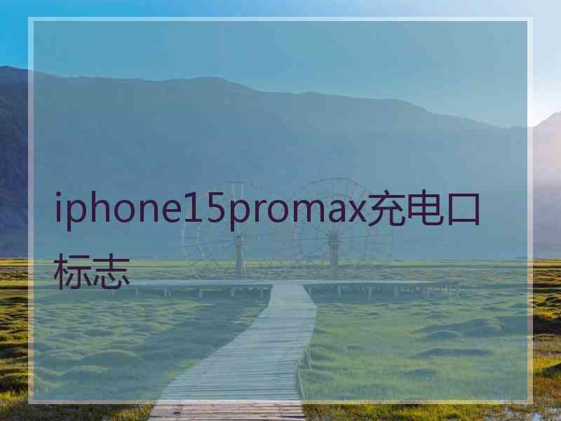 iphone15promax充电口标志