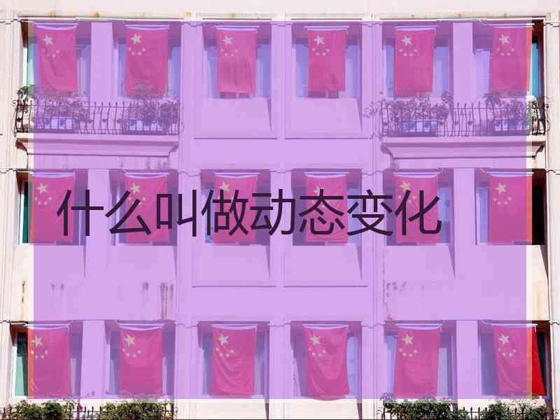 什么叫做动态变化