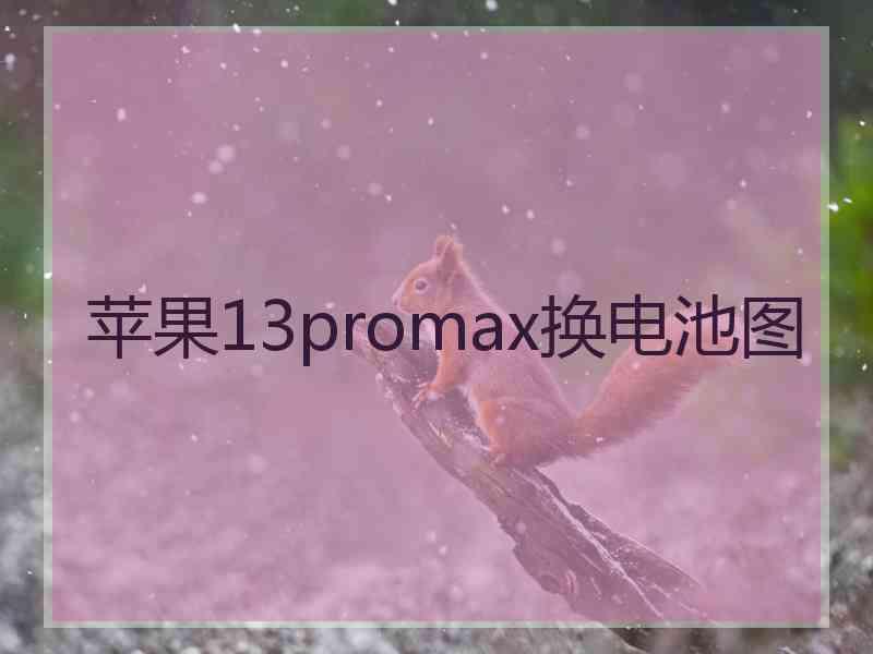 苹果13promax换电池图