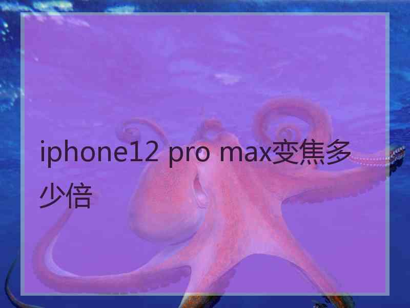 iphone12 pro max变焦多少倍