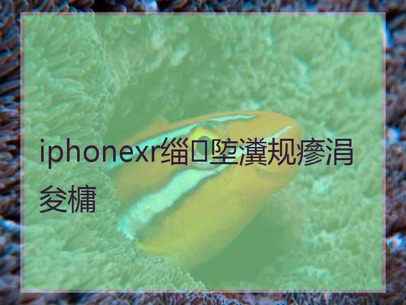 iphonexr缁埅瀵规瘮涓夋槦