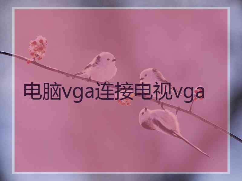 电脑vga连接电视vga