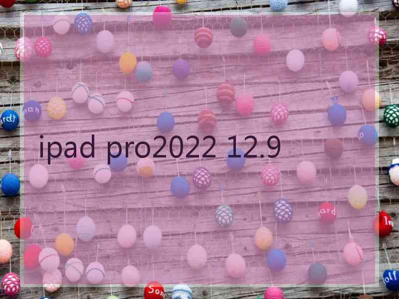 ipad pro2022 12.9