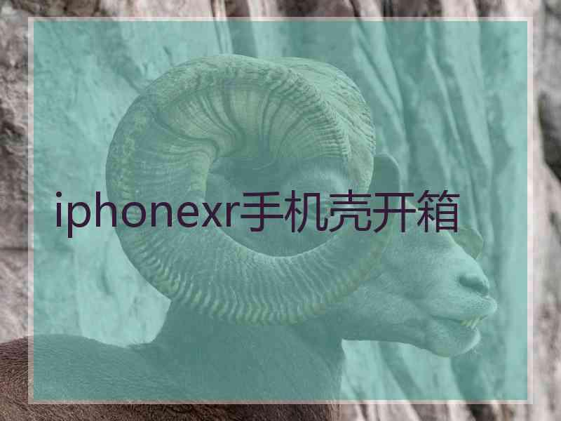 iphonexr手机壳开箱