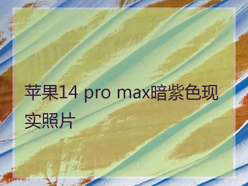 苹果14 pro max暗紫色现实照片