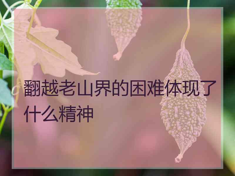 翻越老山界的困难体现了什么精神