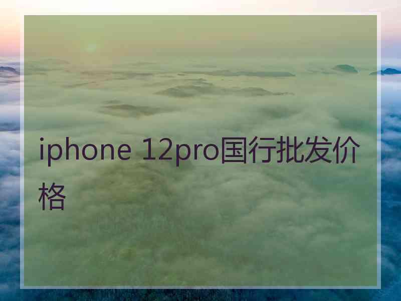 iphone 12pro国行批发价格