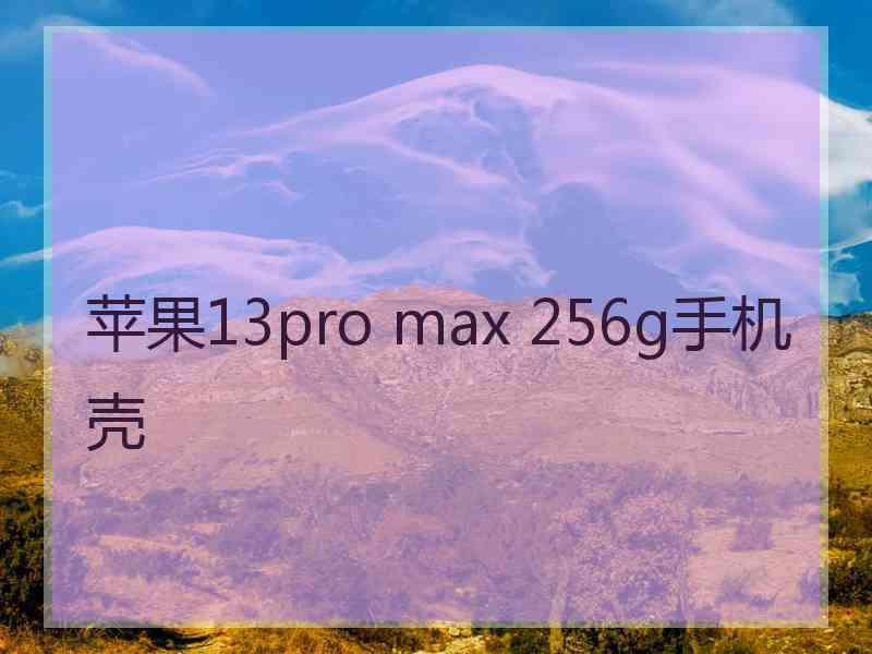 苹果13pro max 256g手机壳