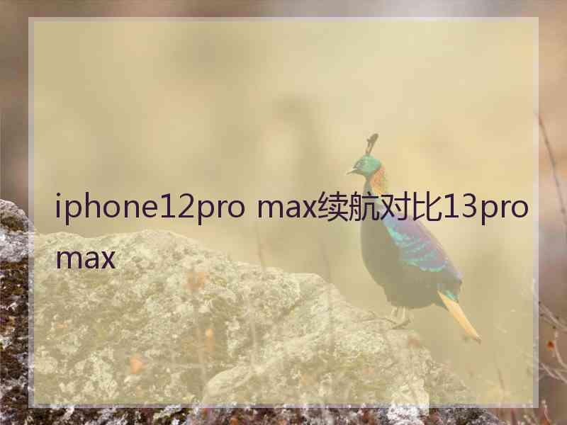 iphone12pro max续航对比13promax