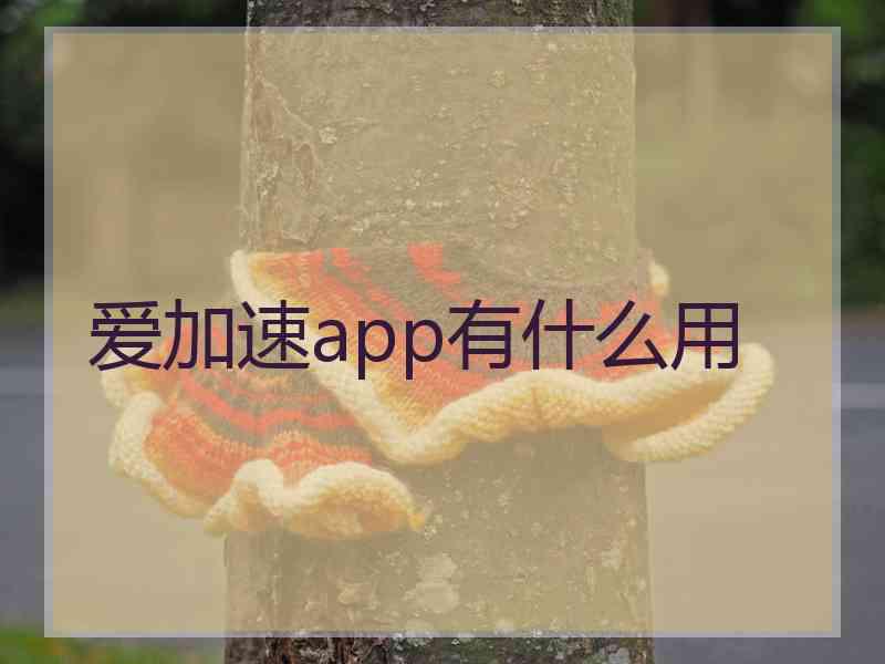 爱加速app有什么用