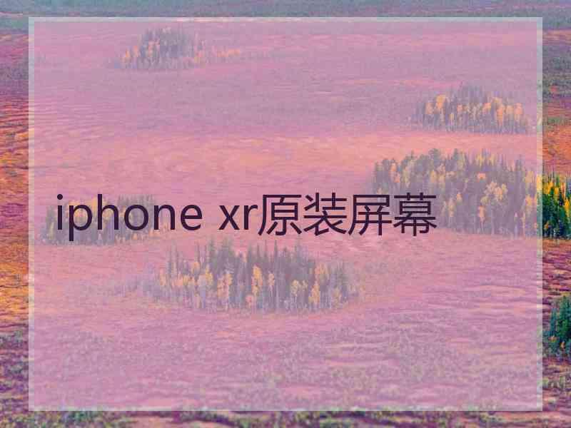 iphone xr原装屏幕