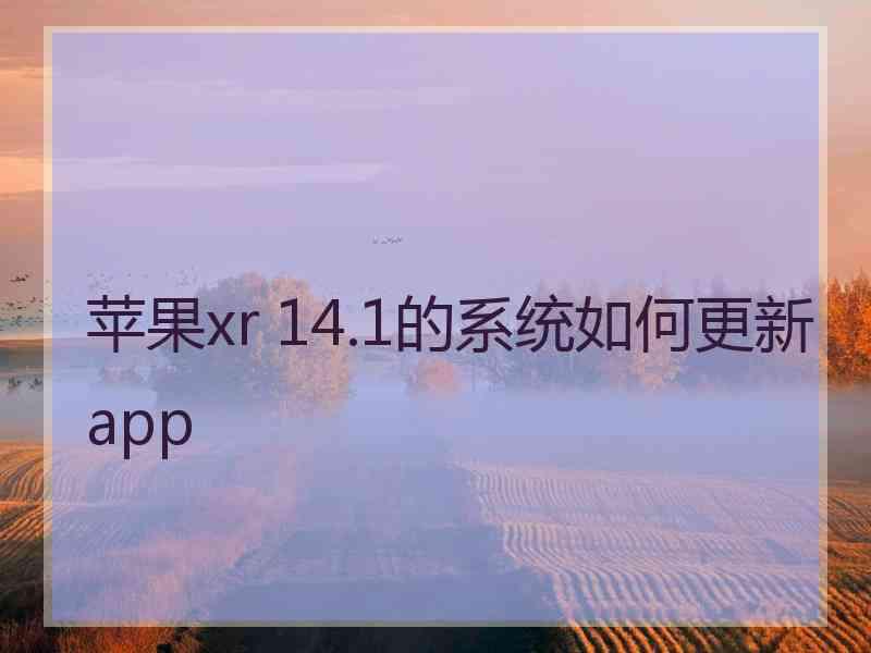 苹果xr 14.1的系统如何更新app