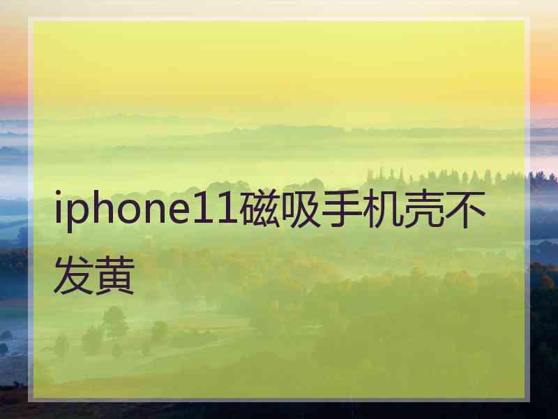 iphone11磁吸手机壳不发黄