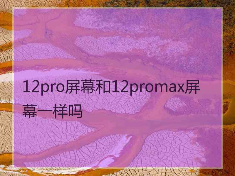 12pro屏幕和12promax屏幕一样吗