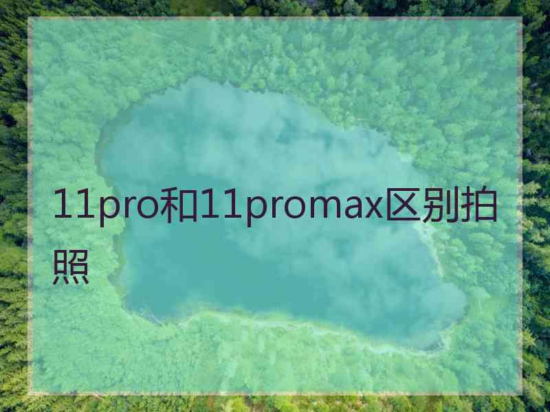 11pro和11promax区别拍照