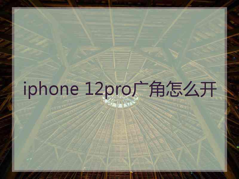 iphone 12pro广角怎么开