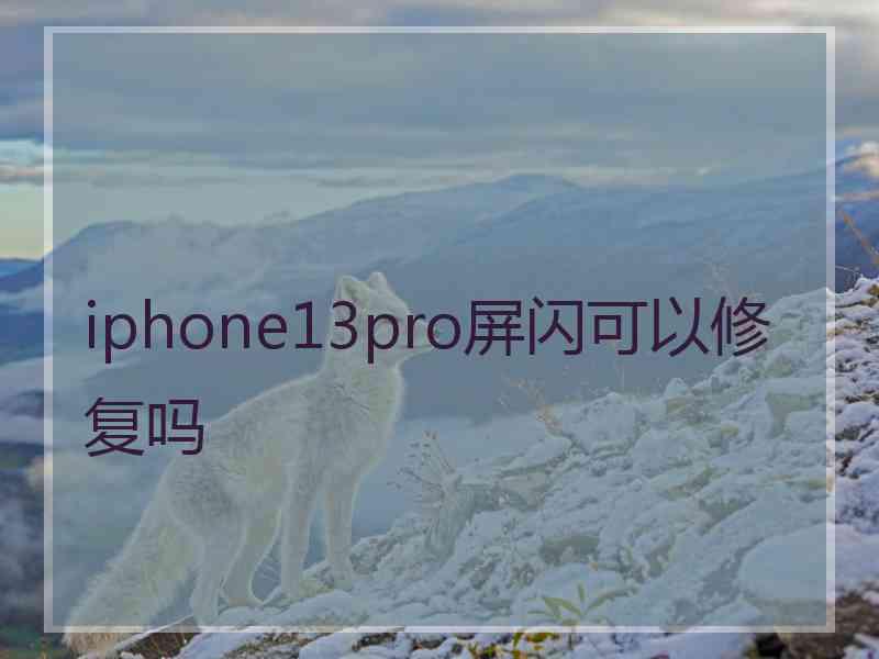 iphone13pro屏闪可以修复吗