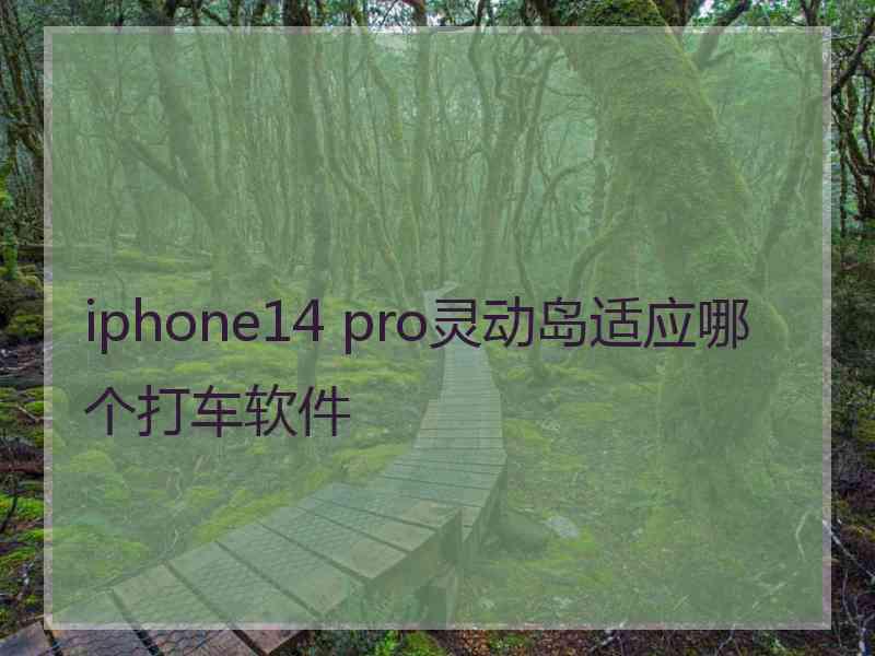 iphone14 pro灵动岛适应哪个打车软件