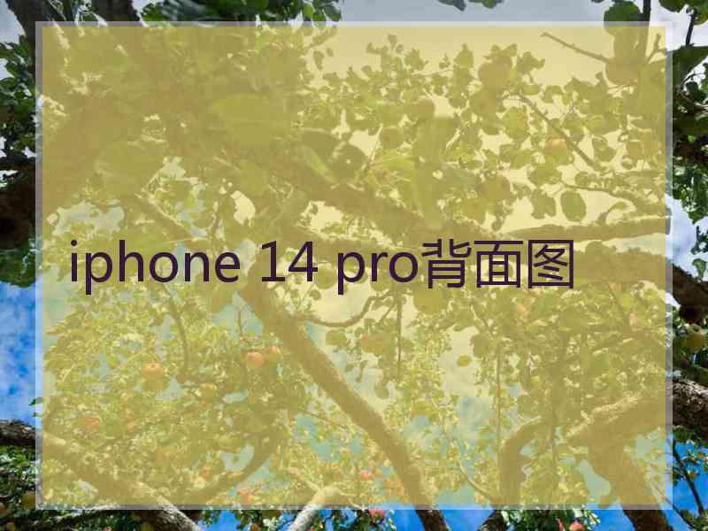 iphone 14 pro背面图