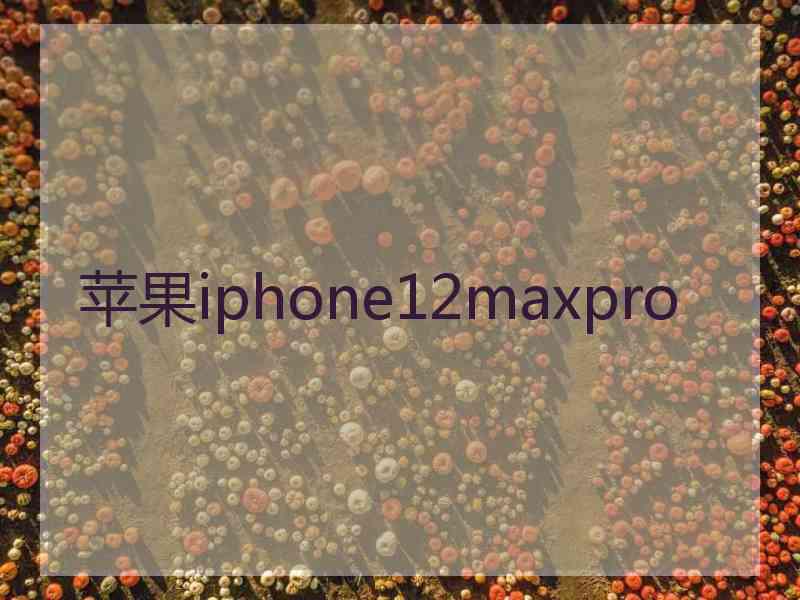 苹果iphone12maxpro