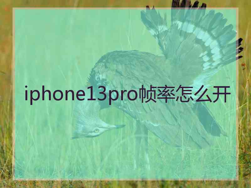 iphone13pro帧率怎么开