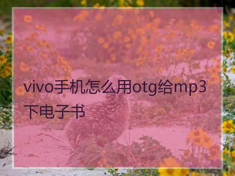 vivo手机怎么用otg给mp3下电子书