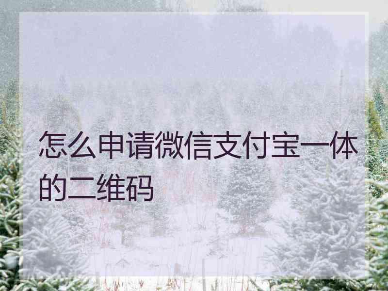 怎么申请微信支付宝一体的二维码