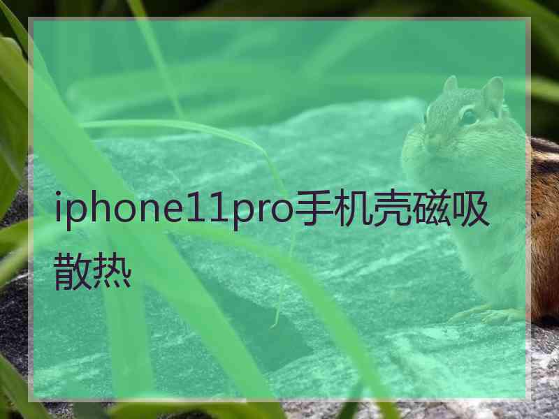 iphone11pro手机壳磁吸散热