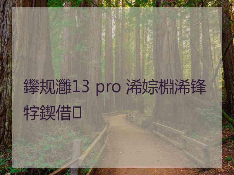 鑻规灉13 pro 浠婃棩浠锋牸鍥借