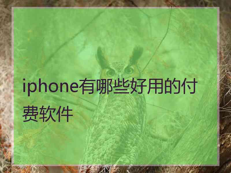 iphone有哪些好用的付费软件