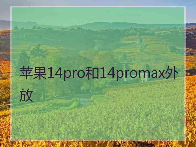 苹果14pro和14promax外放