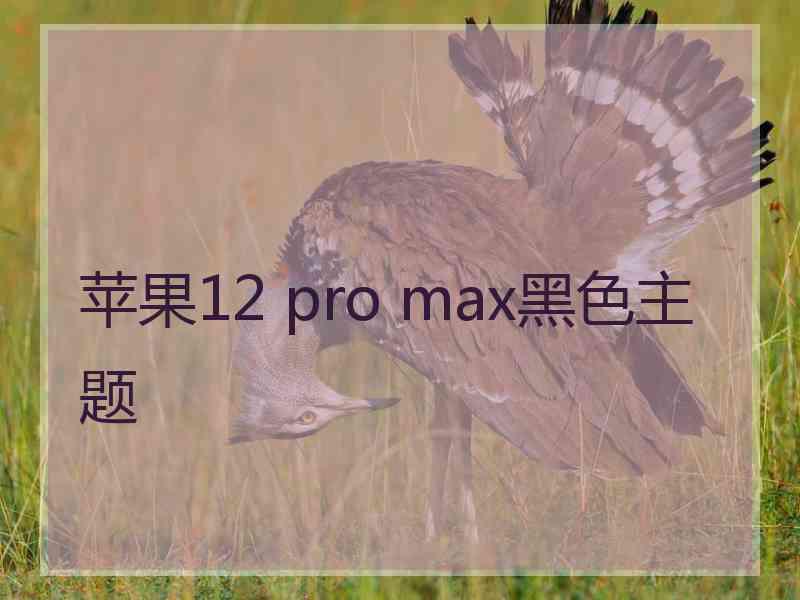 苹果12 pro max黑色主题