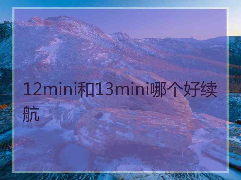 12mini和13mini哪个好续航