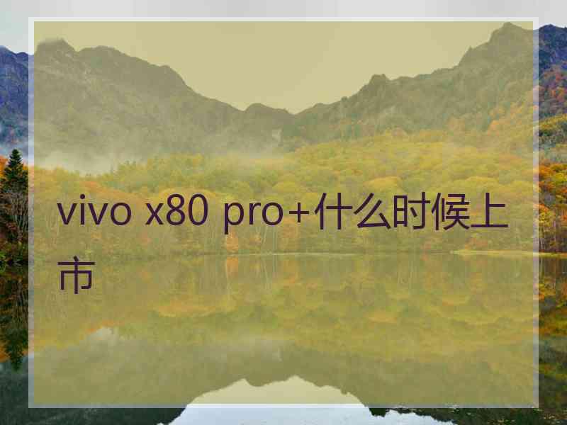 vivo x80 pro+什么时候上市