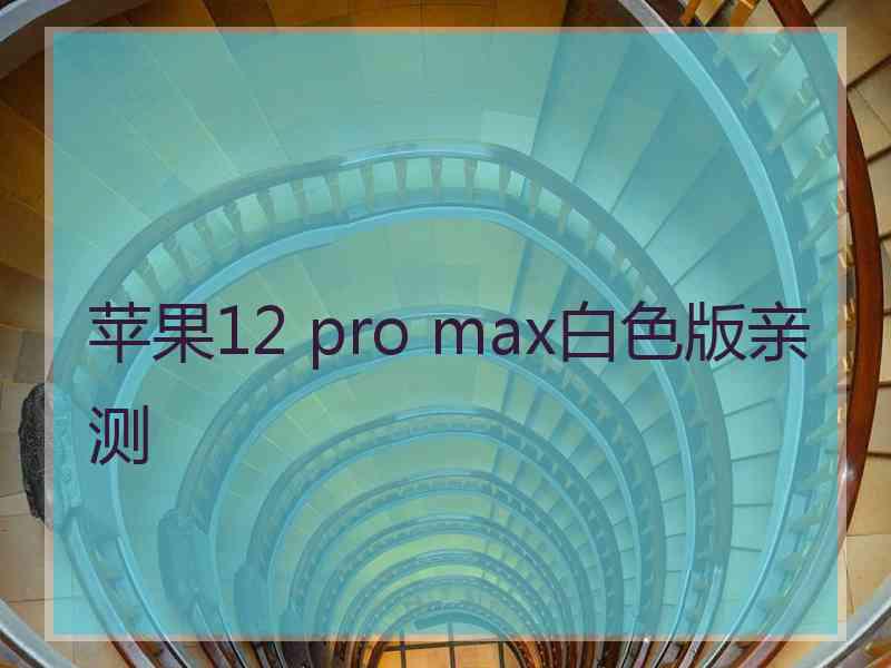 苹果12 pro max白色版亲测