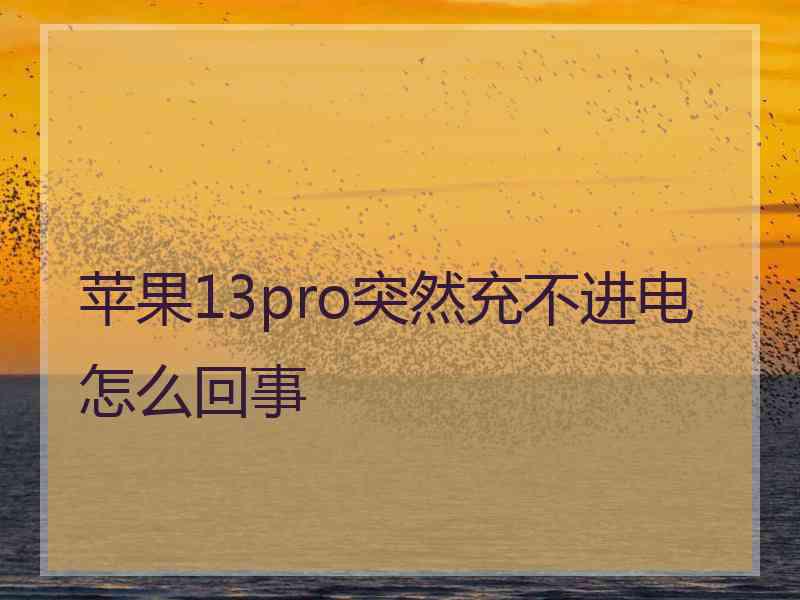 苹果13pro突然充不进电怎么回事