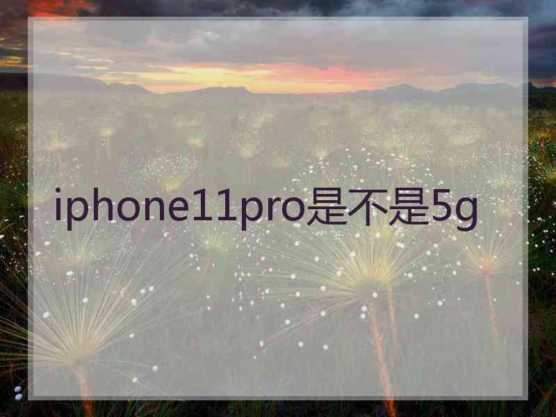 iphone11pro是不是5g